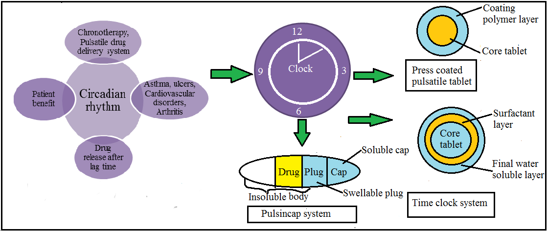 Graphical Abstract